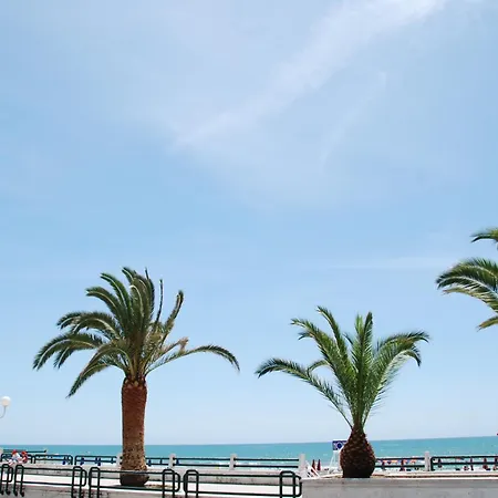 إليونورا سكوري